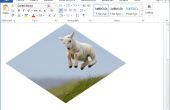 Het bijsnijden van een foto in Microsoft Word