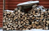 How to Build een Shelter buiten brandhout