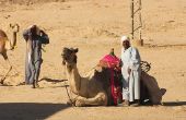 Hoe maak je een Lawrence of Arabia kostuum