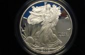 Verenigde Staten zilveren adelaar Dollar munt Mark informatie