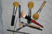 Make up borstels & hun toepassingen