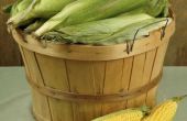 How to Convert Bushels van maïs naar ton