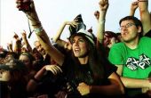 Hoe koopt u Tickets naar Lollapalooza
