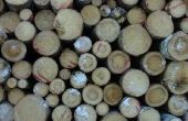 Het behouden van Pine Logs