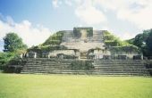 Wat voor soort regering heb het Maya?