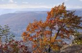 How to View Fall gebladerte in Chattanooga (Tennessee)