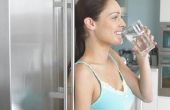 Het aanpassen van de druk van het Water op een koelkast Dispensor