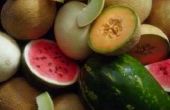 Kan je watermeloenen & Kantaloepen samen Plant?