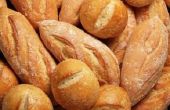 Wat Is de stam van brood schimmel?
