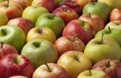 Wat Is de voedingswaarde van een appel?