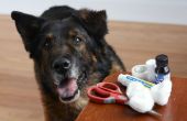 Huis remedie voor Open pijnlijke plekken op honden
