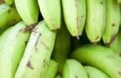 Hoe je groene bananen rijpen?