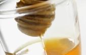 Kan ik honing gebruiken als alternatief voor de Marshmallows bij het bakken?