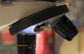 Hoe vlekken van Wang cellen voor een Microscoop
