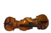 Interessante feiten over de Viola-Instrument