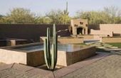 Het ontwerpen van een cactustuin