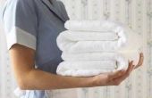 Tipping richtsnoeren voor huishoudsters