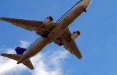 Vietnam Airlines fysieke eisen voor bedienden van de vlucht