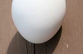 Hoe om te laten vallen van een ei zonder breken