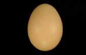 Hoe Bereken de Radius en Diameter van een ei