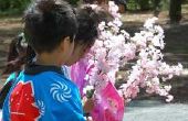 Traditionele kapsels van Japanse kinderen
