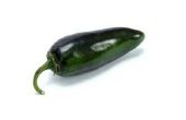 Hoe te knippen Jalapenos voor Chili