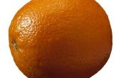 Kunnen sinaasappelen & mandarijnen op dezelfde boom groeien?