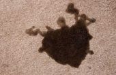 Gedroogde koffie vlekken uit tapijt verwijderen