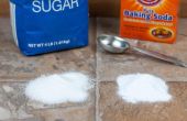 How to Kill kakkerlakken natuurlijk met suiker en Baking Soda