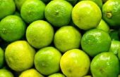 Verschil tussen Limes & belangrijke Limes
