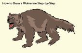 Hoe teken je een stapsgewijze Wolverine