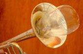 Hoe maak je een zelfgemaakte trompet dempen uit een Plastic fles
