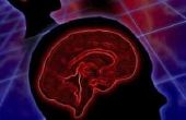 Hoe het verhogen van de capaciteit van uw hersenen