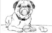 Hoe teken je een Bulldog pup