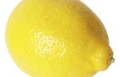 Citroen Extract, kan worden gebruikt in plaats van citroensap?