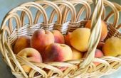 Hoe te bevriezen van verse perziken in zakken