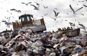 Consumentisme en de gevolgen ervan voor het milieu