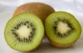 Wanneer Kiwi vruchten plukken?