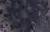 Wat zijn de oorzaak van de bubbels in de bladeren van Waterpest?