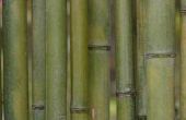 Bamboe luifel ideeën