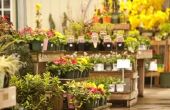Flower Shop ideeën