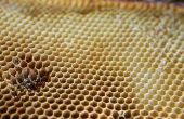 Hoe te verwijderen een honingraat