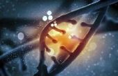Technieken van DNA hybridisatie