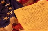 Wat zijn de drie basiscategorieën van rechten die de Bill of Rights beschermt?