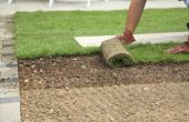 How to Plant Sod in Arizona