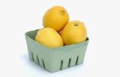 Het gebruik van citroenen geweekt in Water voor vlooien in uw huis