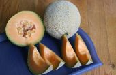 Hoe snel rijpen van meloen