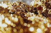 Hoe te identificeren van Europese gouden Makers merken