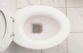 Waarom houdt de geur van een nieuw geïnstalleerde Toilet een riool?