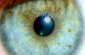 Effectiviteit van Restasis oogdruppels